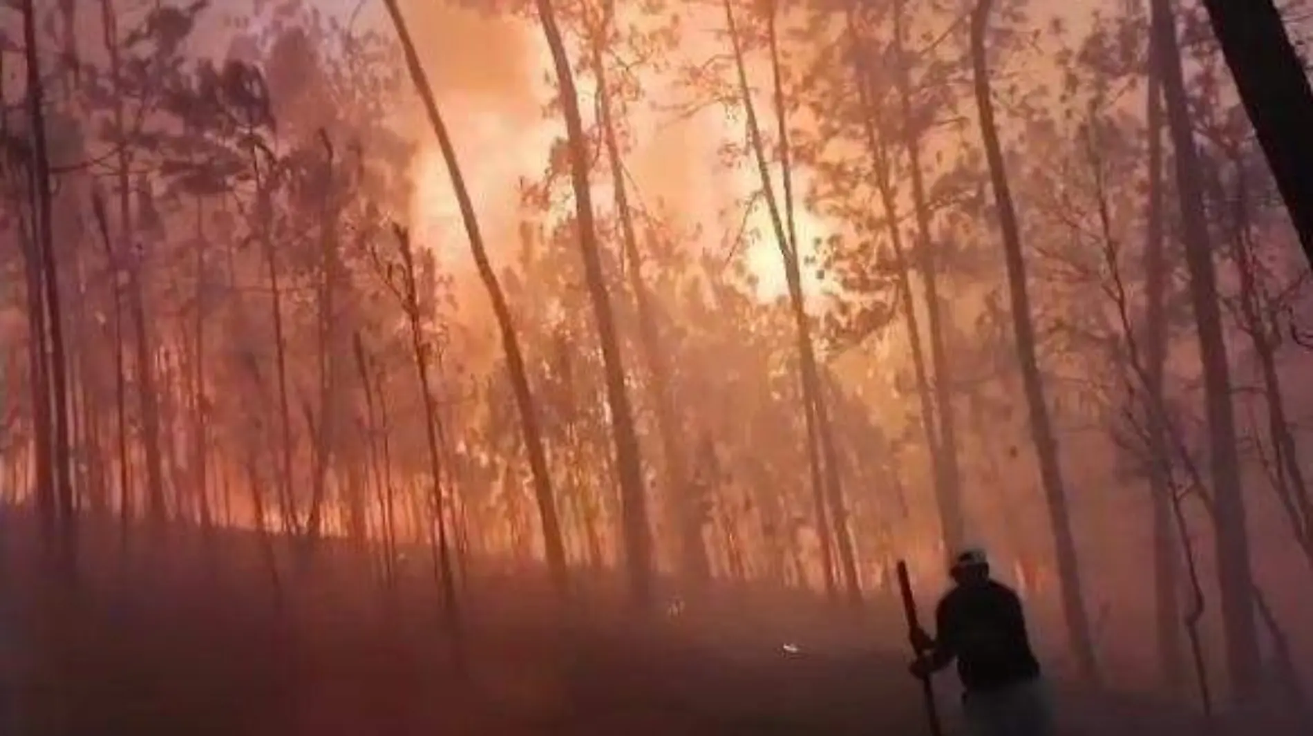 Incendio en el Tejocote